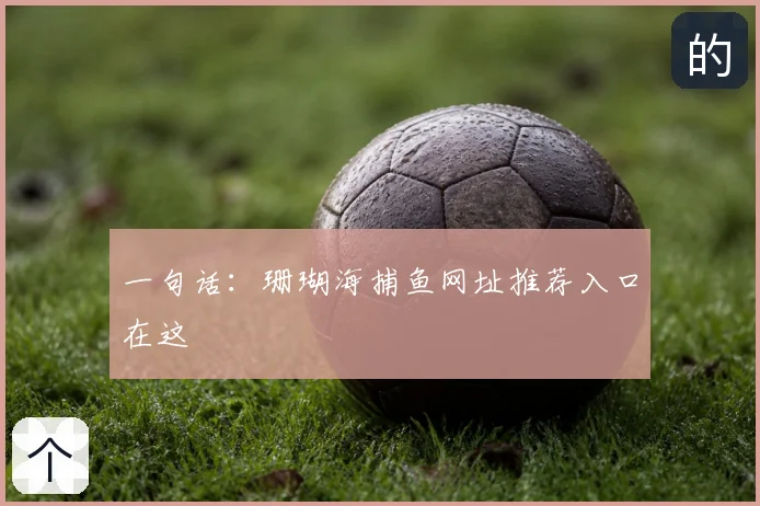 一句话：珊瑚海捕鱼网址推荐入口在这